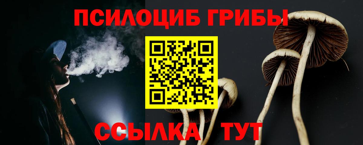 Псилоцибиновые грибы мухоморы  Вход с VPN  Советск 